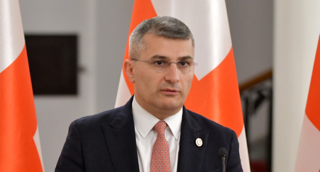 მამუკა მდინარაძე ალეკო ელისაშვილის საქმეზე TI-ის დასკვნას ეხმაურება
