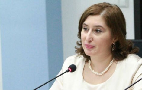 ჟვანია: მალდინისა და შევჩენკოს განცხადებებში წინასაარჩევნო წესების დარღვევას ვერ ვხედავ