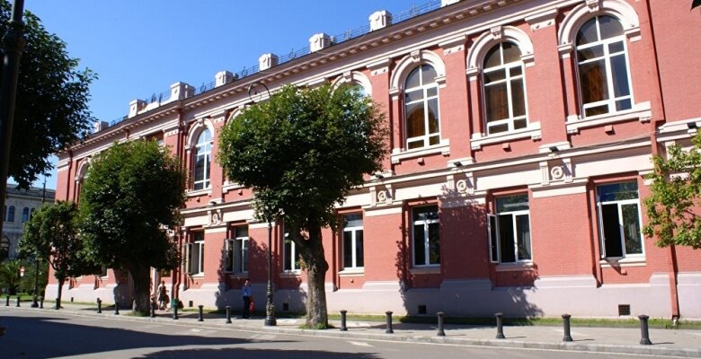 საკონსტიტუციო სასამართლო მანქანების შეძენაზე: ჩვენი ავტოპარკის 90% მოძველებულია